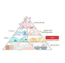 مربا آلبالو شانا – 570 گرم