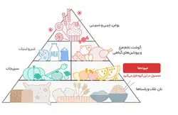 مربا توت فرنگی شانا – 570 گرم