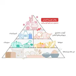 نبات زعفرانی سحرخیز – بسته 10 عددی