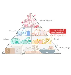 نخود گلستان مقدار 450 گرم