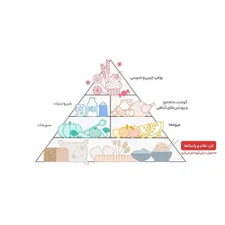 برنج دم سیاه درجه یک آقاجانیان – 10 کیلوگرم