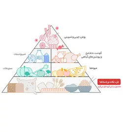 برنج طارم ممتاز گلستان – 4.5 کیلوگرم