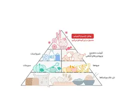 پودر کیک نارگیلی زر ماکارون وزن 500 گرم