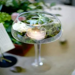 تراریوم طرح جام کد ۵۵۰۰