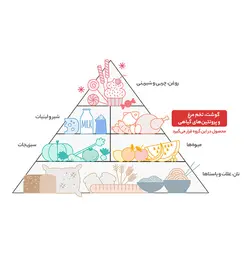 پسته شور زعفرانی گلستان مقدار 800 گرم