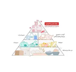 روغن جوانه ذرت زر اویل – 900 میلی لیتر