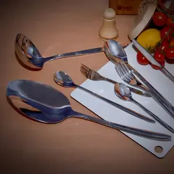 سرویس قاشق و چنگال 39 پارچه ام جی اس مدل DF051
