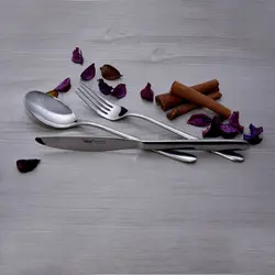 سرویس قاشق و چنگال 54 پارچه ام جی اس مدل DONA(Ch)001