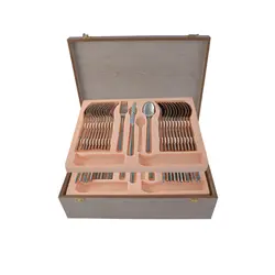 سرویس قاشق و چنگال 54 پارچه ام جی اس مدل DONA(GE)006