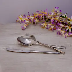 سرویس قاشق و چنگال 54 پارچه ام جی اس مدل DONA(GE)006