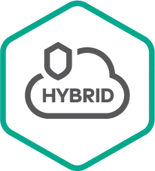 Kaspersky Hybrid Cloud Security Server