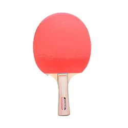 راکت پینگ پنگ دونیک مدل Waldner