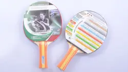 راکت پینگ پنگ دونیک مدل Waldner Line Level 400