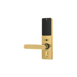 دستگیره کارتی هتلی ALOCK مدل S300C GOLD (آفلاین)| رایکاهوم