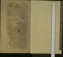 دانلود نسخه خطی عالم آرای عباسی - از: اسکندر بیگ ترکمان منشی - 1043ق (9)