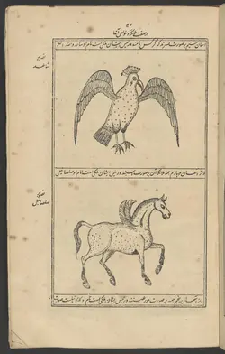 دانلود کتاب عجایب المخلوقات، متن فارسی، مصور چاپ سنگی قدیمی - زمان ناصرالدین شاه قاجار