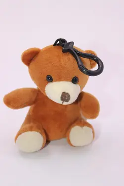 جاکلیدی خرس کد 155