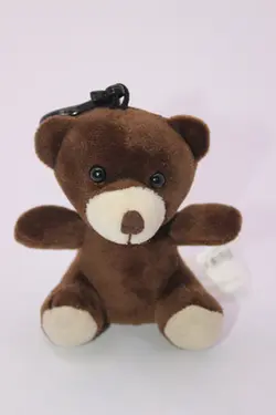 جاکلیدی خرس کد 155