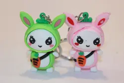 جاکلیدی خرگوش کد 202