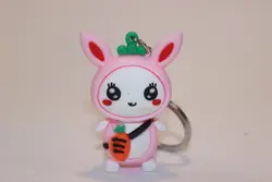 جاکلیدی خرگوش کد 202