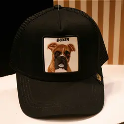 کلاه  BOXER | GOORIN کد 418