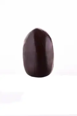 خرمای مضافتی بم طلایی