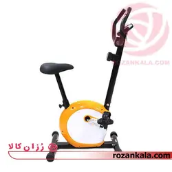 دوچرخه ثابت ایستاده مگنتی آیرون مستر-B541 Iron Master