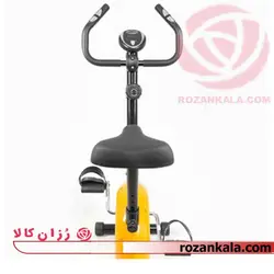 دوچرخه ثابت ایستاده مگنتی آیرون مستر-B541 Iron Master