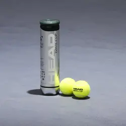 توپ تنیس قوطی 4 عددی هد Head Davis Cup