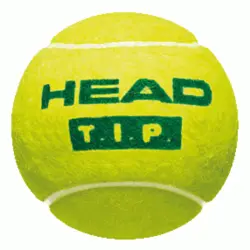 توپ تنیس هد 3 عددی Head TIP Green