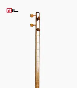 تنبور رضوی تن تنه - کتابی