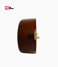 تنبور رضوی تن تنه - کتابی
