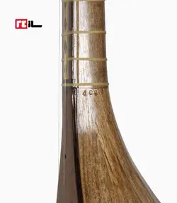 تنبور سیامک میرزاپور