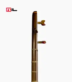 تنبور مجذوب دو مهر گلودار