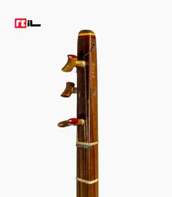 تنبور مجذوب دو مهر گلودار