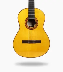 گیتار رامین فلاح red bresilian rose wood