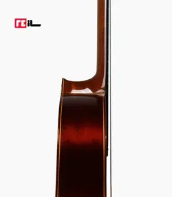 گیتار رامین فلاح red bresilian rose wood