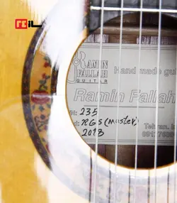 گیتار رامین فلاح red bresilian rose wood