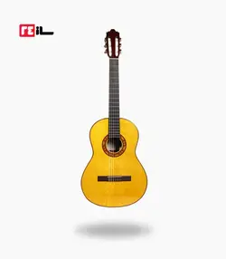 گیتار رامین فلاح red bresilian rose wood