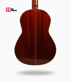 گیتار رامین فلاح red bresilian rose wood