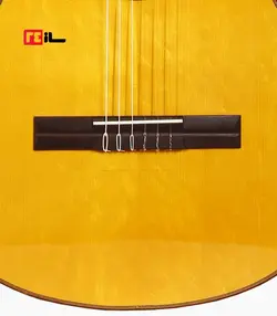 گیتار رامین فلاح red bresilian rose wood