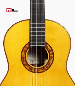 گیتار رامین فلاح red bresilian rose wood