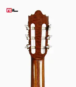 گیتار رامین فلاح red bresilian rose wood