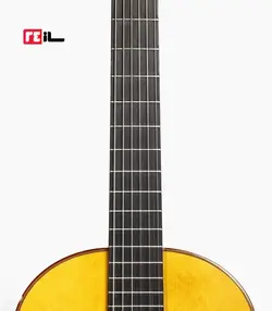 گیتار رامین فلاح red bresilian rose wood