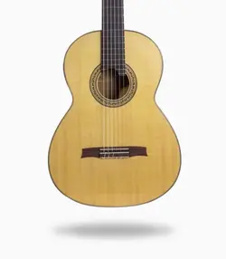 گیتار میثم مبصری فلامنکو Blanca-Cypress