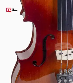 ویولن آراکس 144