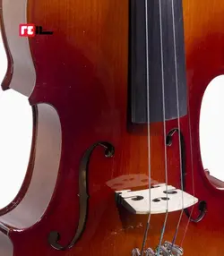 ویولن آراکس 144