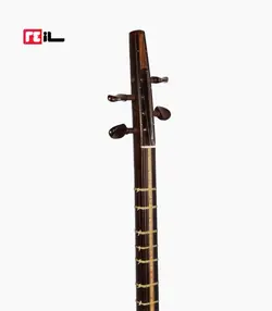 سه تار پورشقاقی الگو هاشمی رزوود هندی