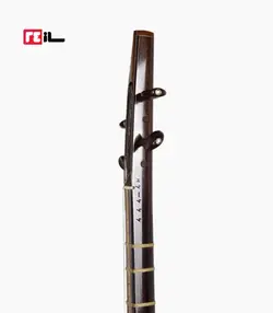 سه تار پورشقاقی الگو هاشمی رزوود هندی