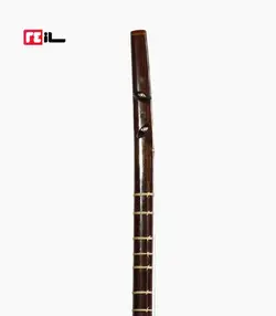 سه تار پورشقاقی الگو هاشمی رزوود هندی